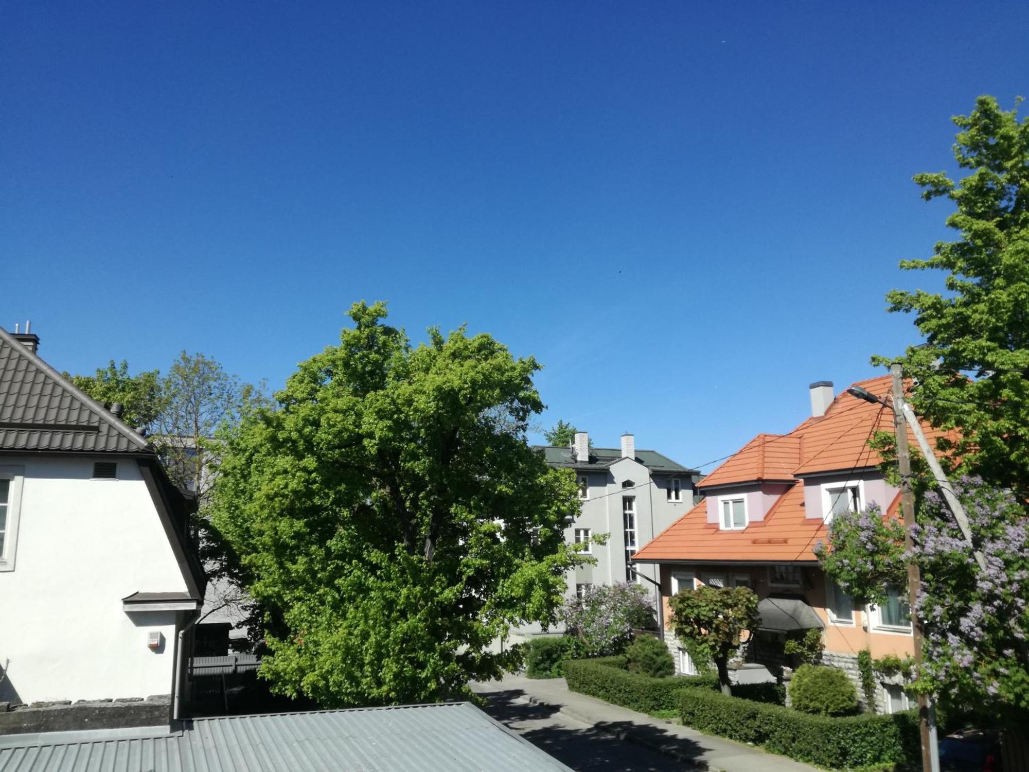 Wilken 2024 Huoneisto