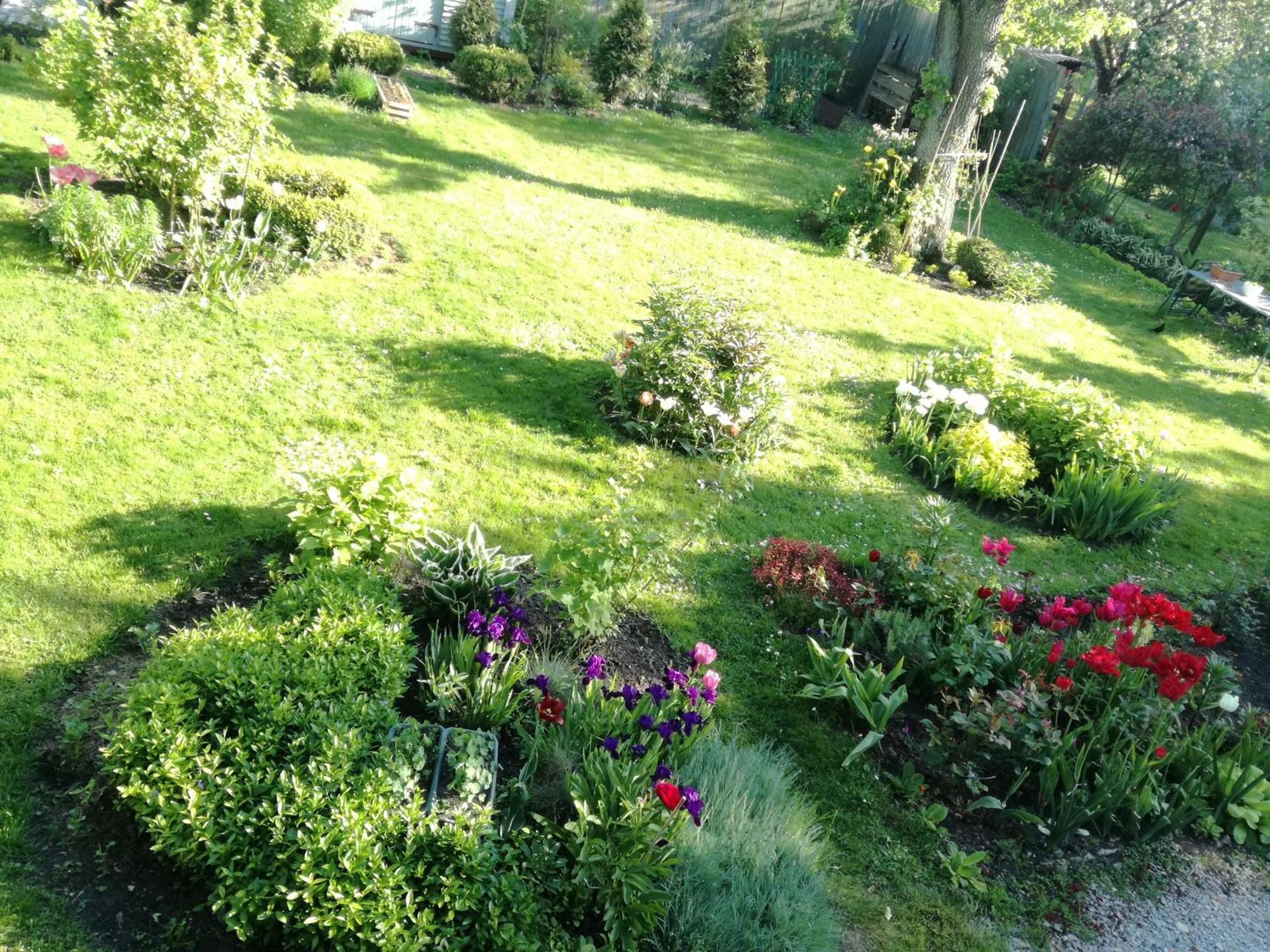 Apartament Wilken 2024 *